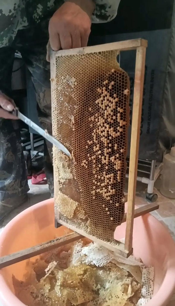 活框养殖技术规范